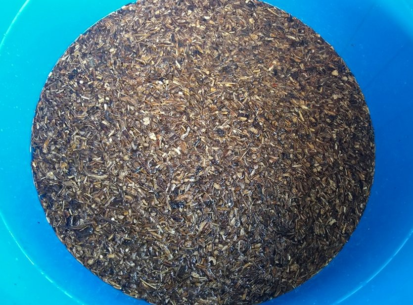 부여 유기농 깐밤 1kg 250g 4ea 생율밤 알밤