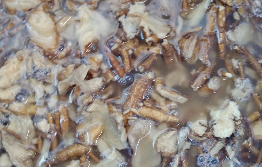 부여 유기농 깐밤 1kg 250g 4ea 생율밤 알밤